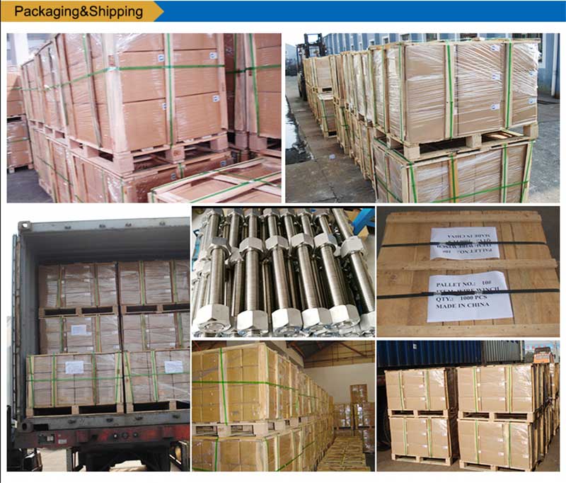 Չժանգոտվող պողպատից ցուցակ-պտուտակներ-պտուտակահան-ամրացնող փաթեթավորում